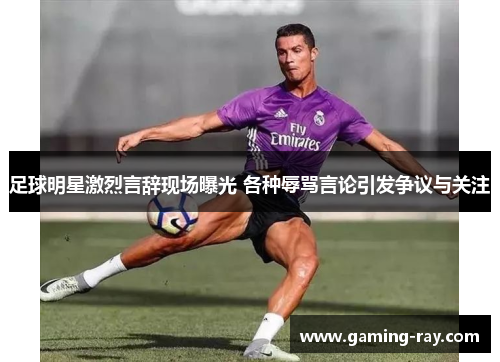足球明星激烈言辞现场曝光 各种辱骂言论引发争议与关注